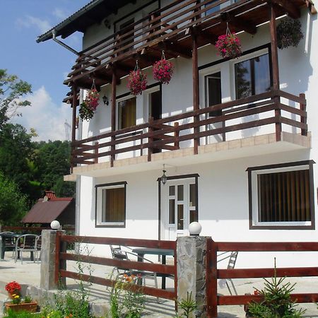 Vila Doina Branului Bran  Exteriör bild