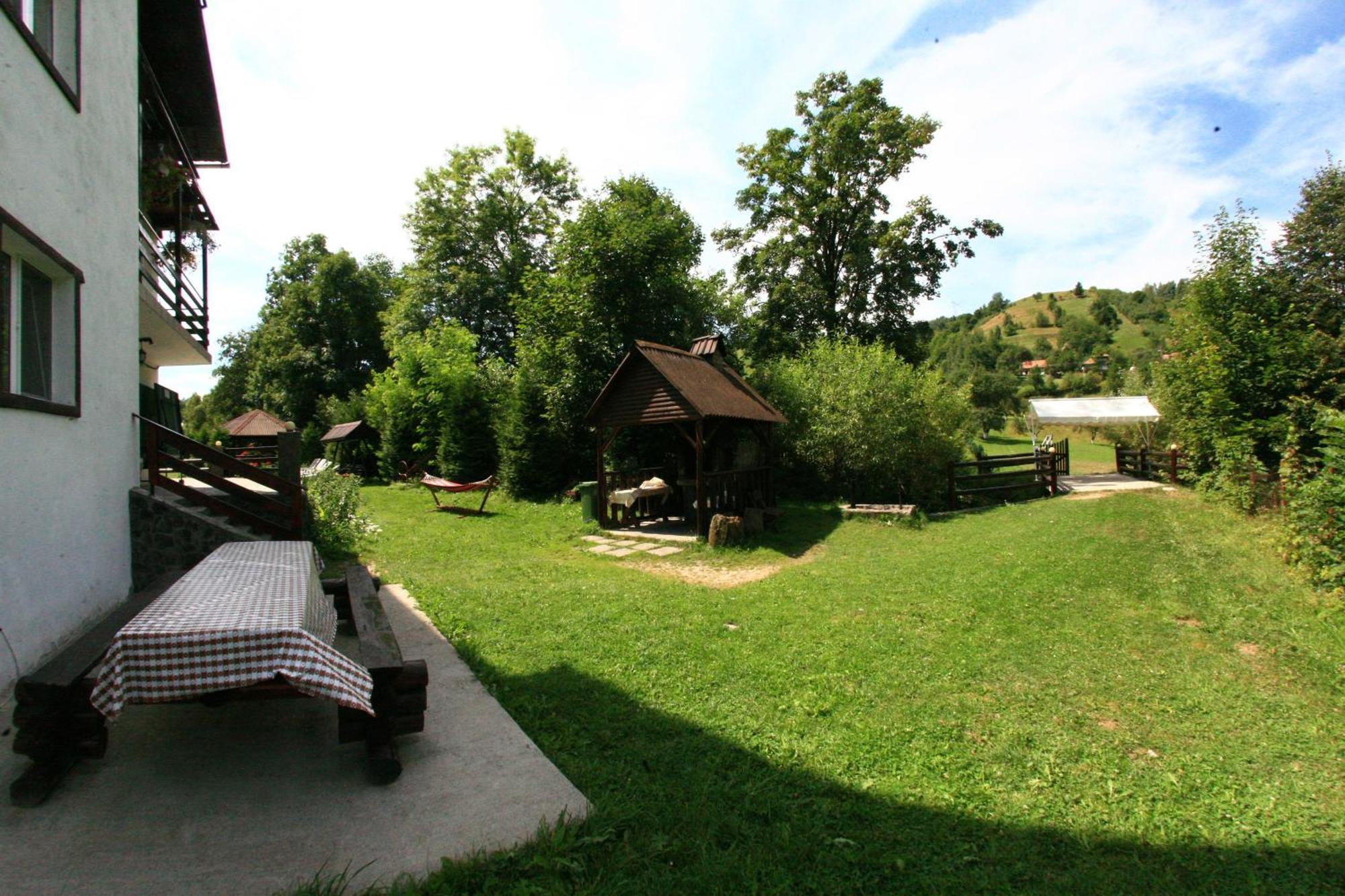 Vila Doina Branului Bran  Exteriör bild