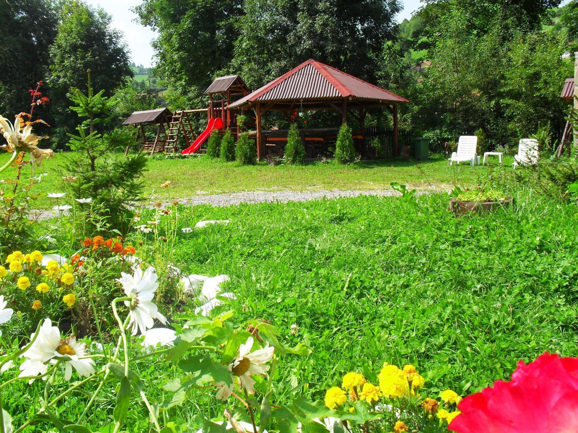 Vila Doina Branului Bran  Exteriör bild
