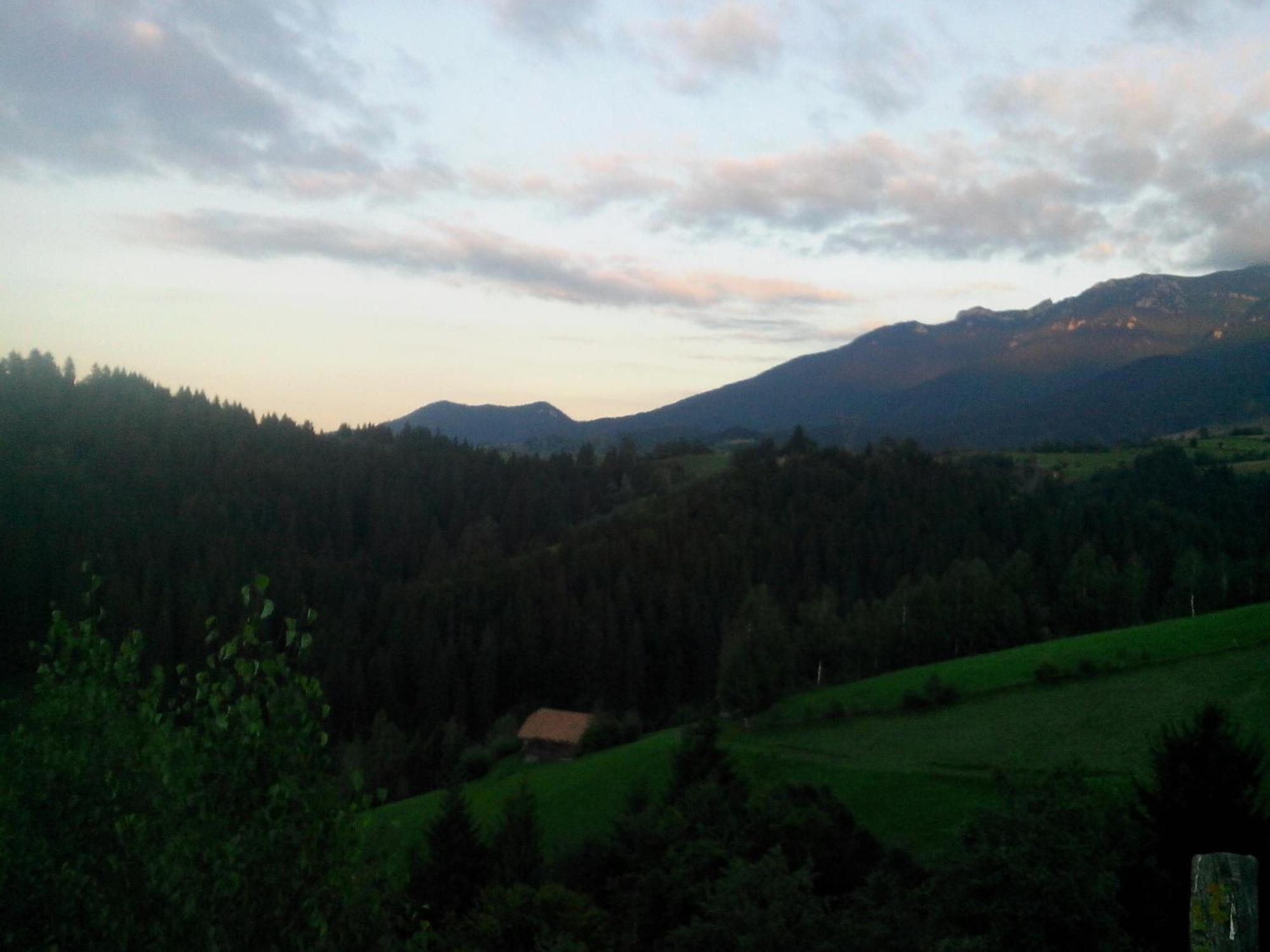 Vila Doina Branului Bran  Exteriör bild