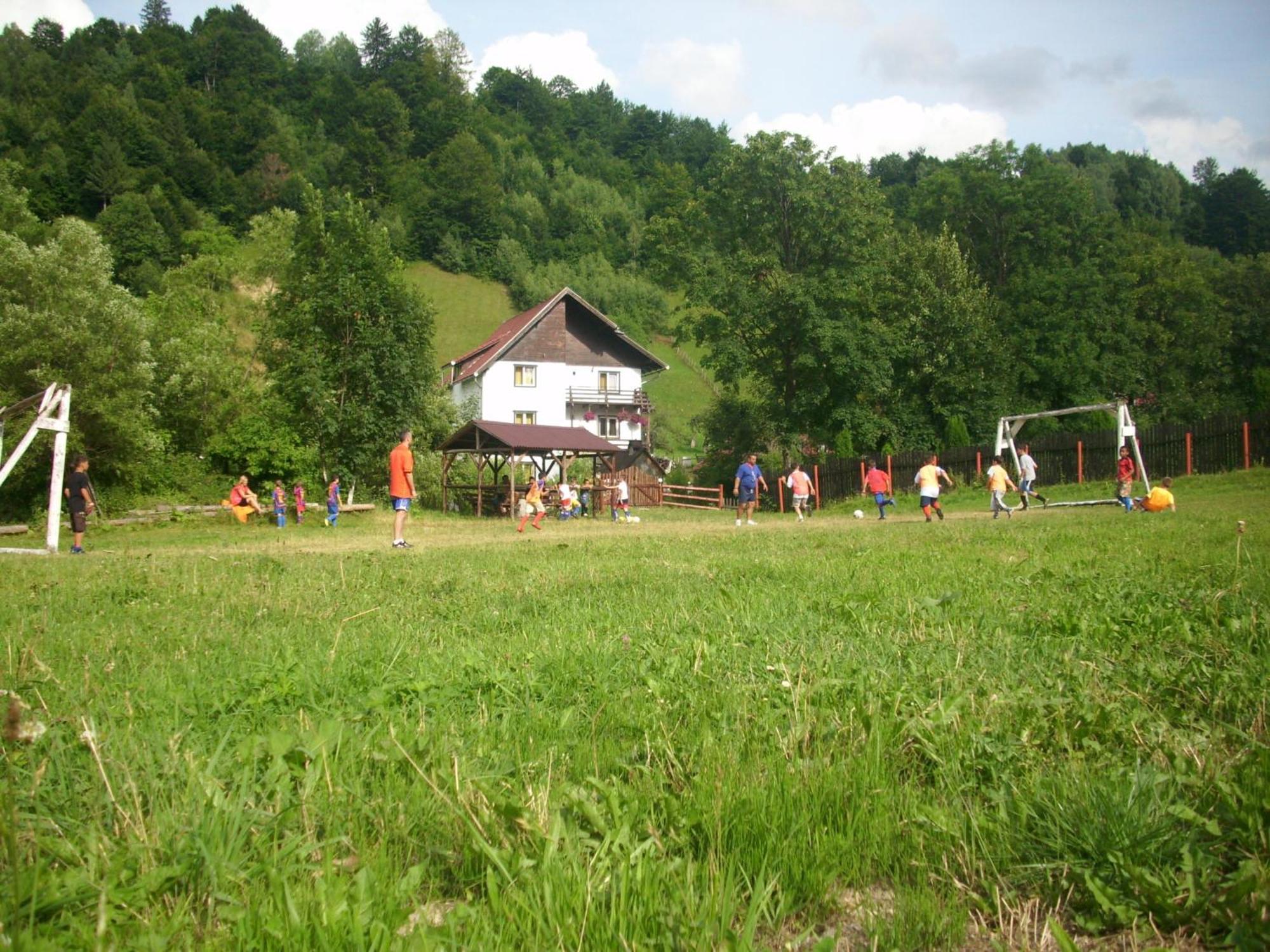 Vila Doina Branului Bran  Exteriör bild