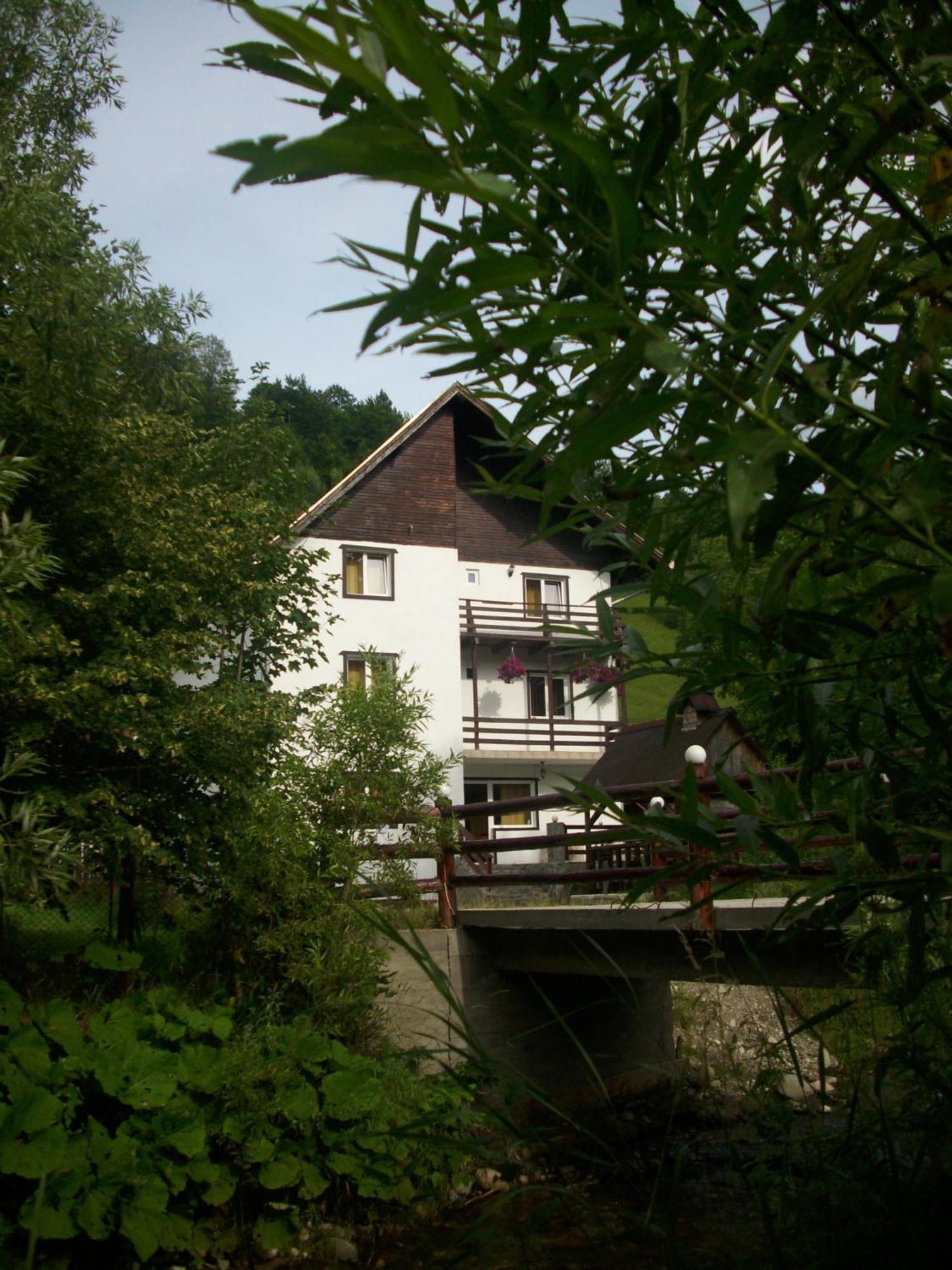 Vila Doina Branului Bran  Exteriör bild