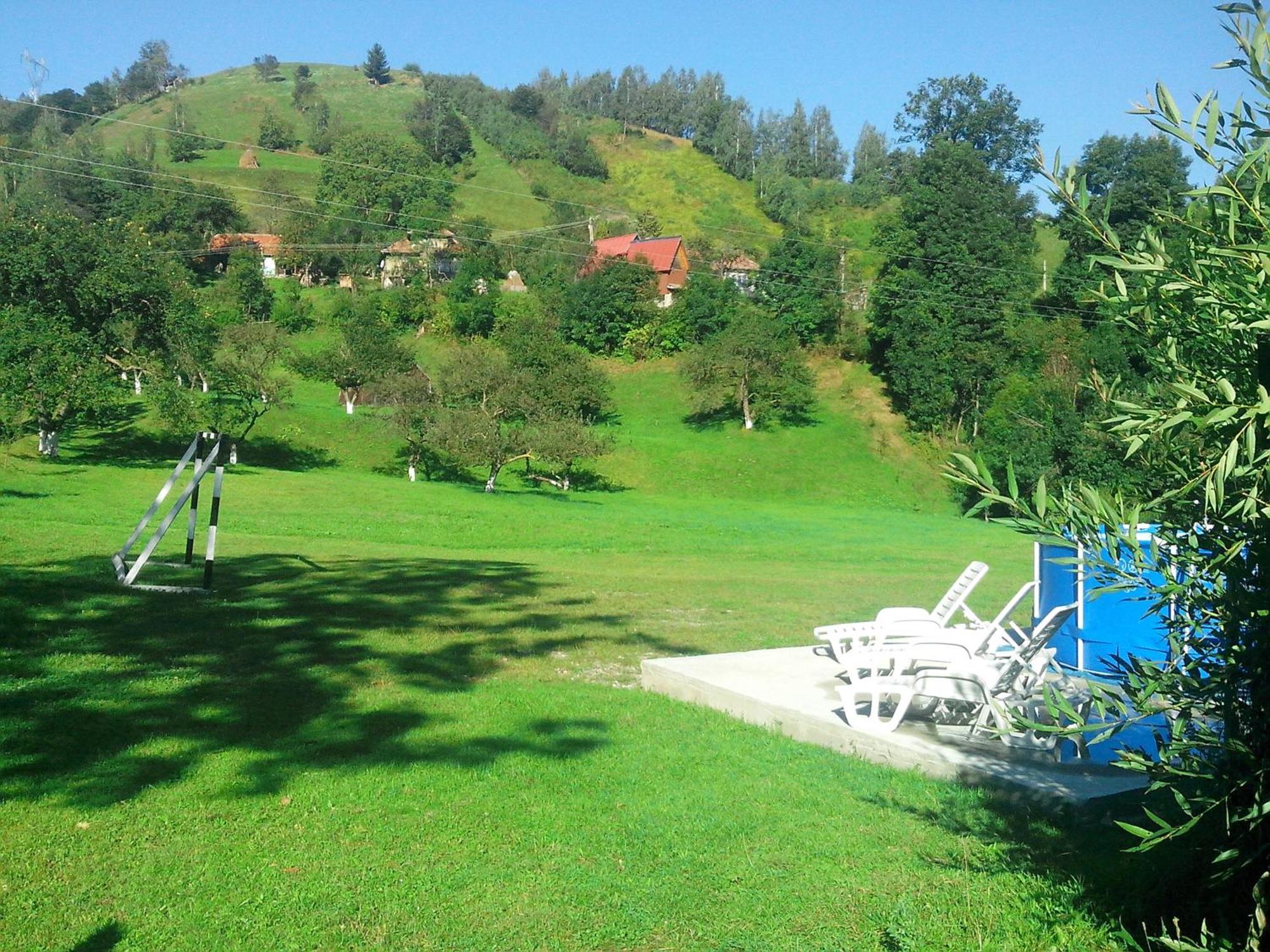 Vila Doina Branului Bran  Exteriör bild