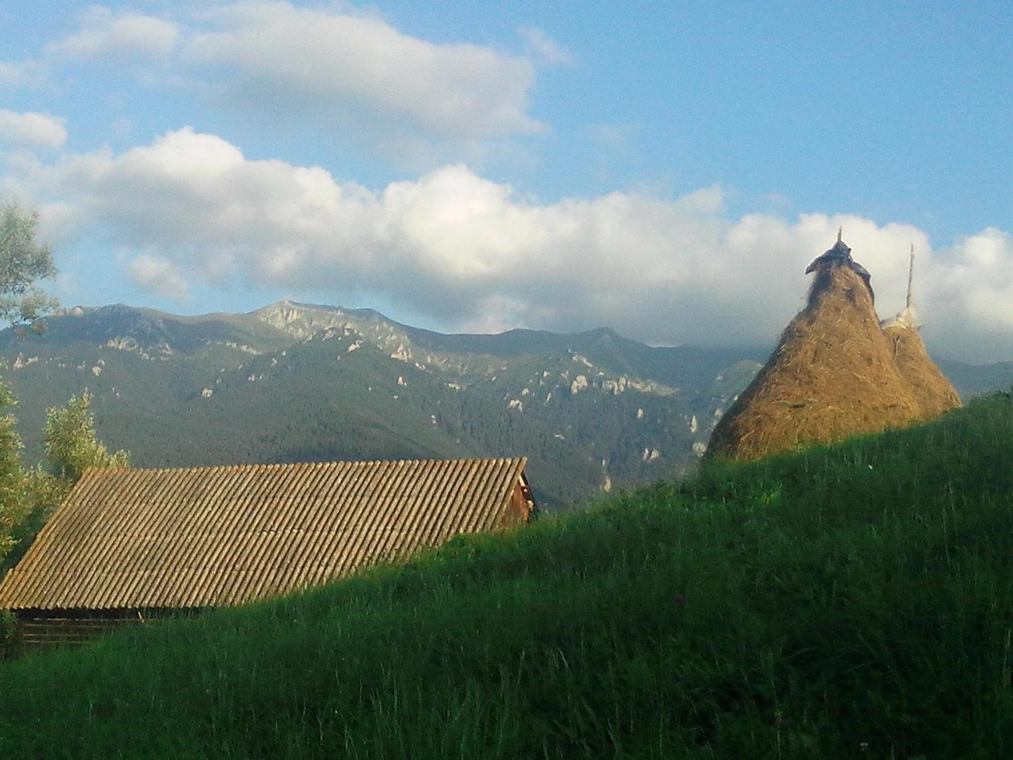 Vila Doina Branului Bran  Exteriör bild
