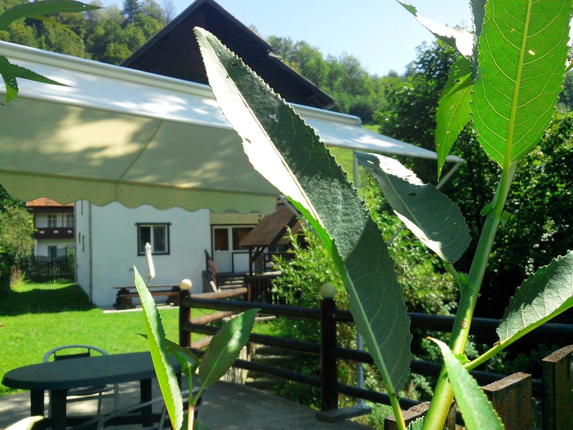Vila Doina Branului Bran  Exteriör bild