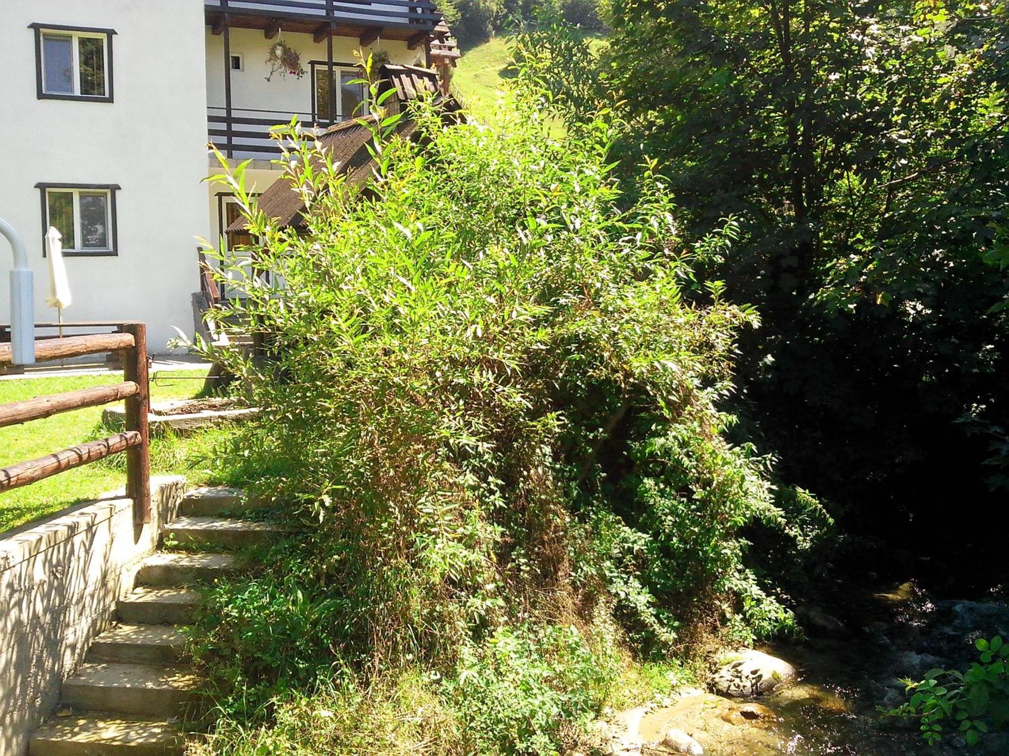 Vila Doina Branului Bran  Exteriör bild