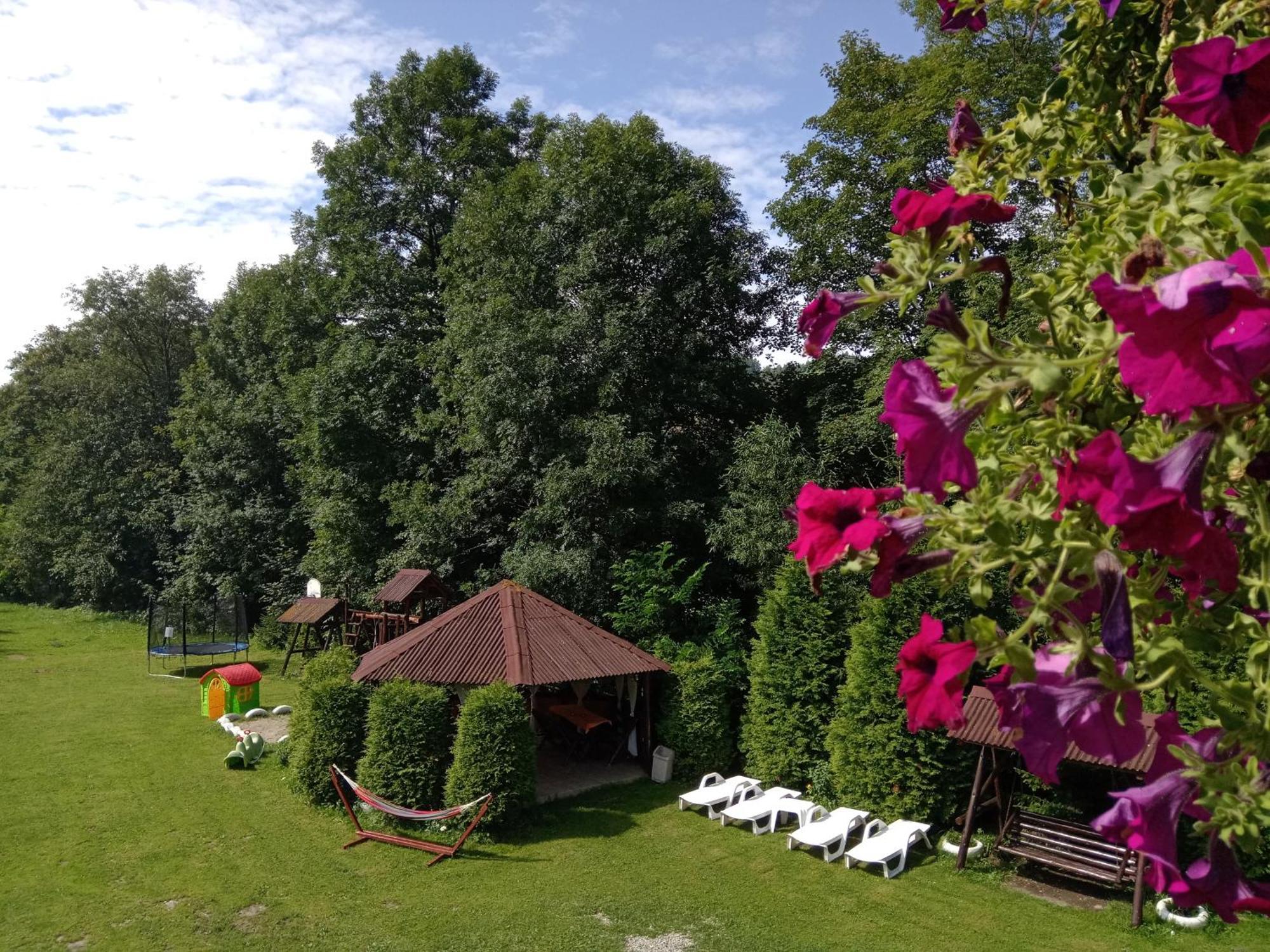 Vila Doina Branului Bran  Exteriör bild